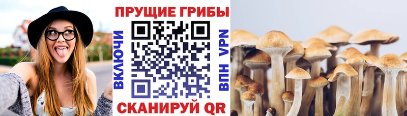 Псилоцибиновые грибы ЛСД Баймак