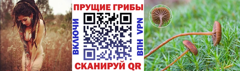Псилоцибиновые грибы мухоморы  Баймак 